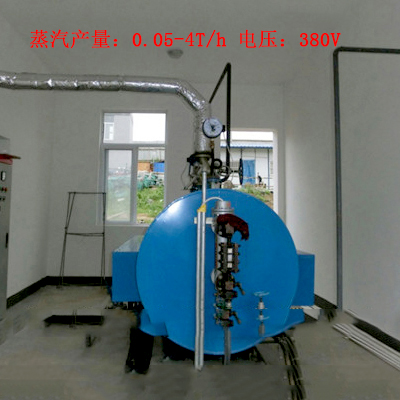 电蒸汽锅炉厂家