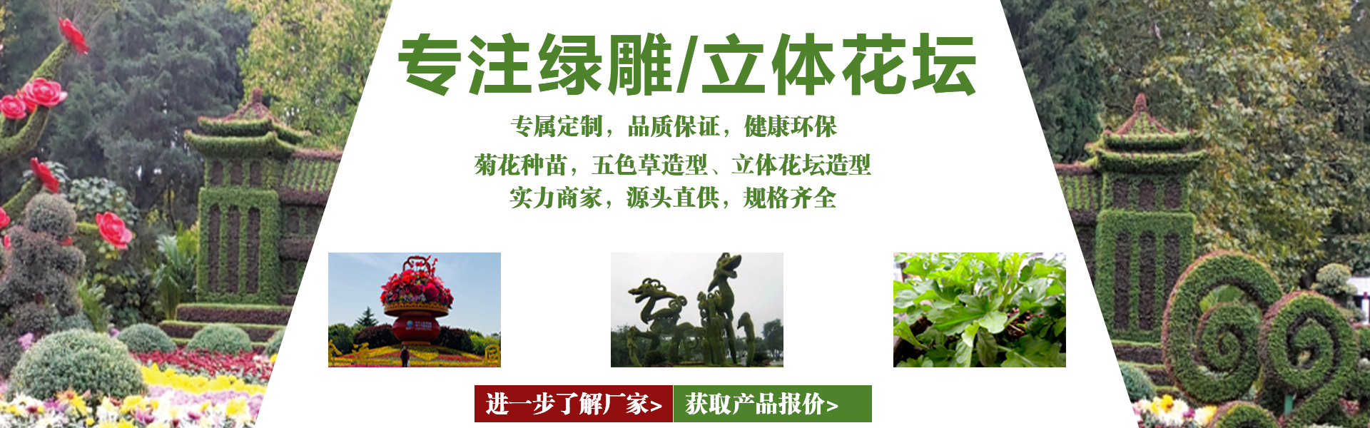 首页图片