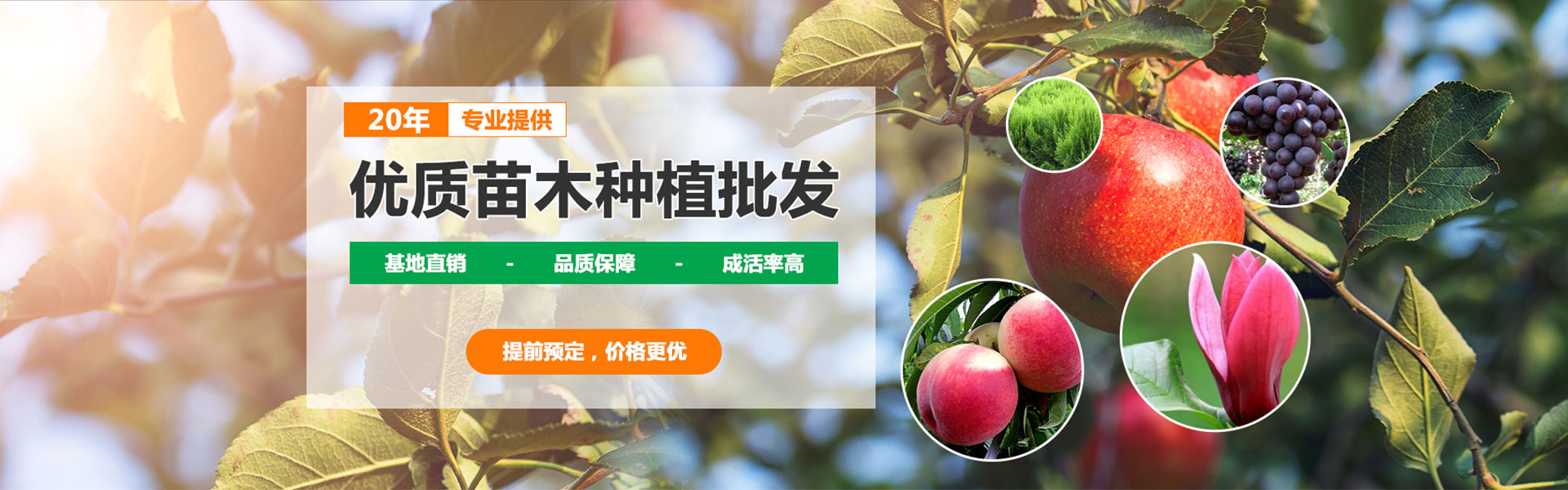 首页图片